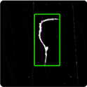 Fur on Pellicle